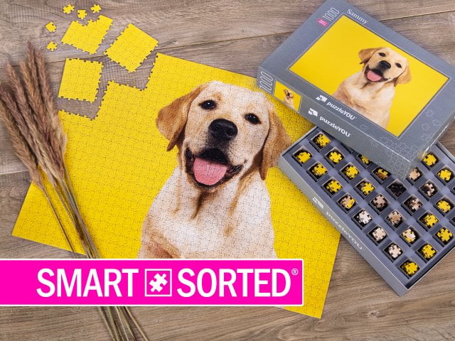 Nowość, wyłącznie w puzzleYOU: SMART SORTED®