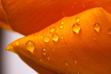 Szlachetna powierzchnia